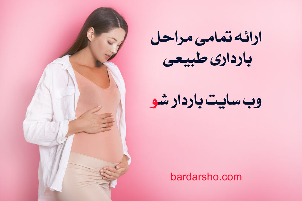 ارائه تمامی مراحل بارداری طبیعی